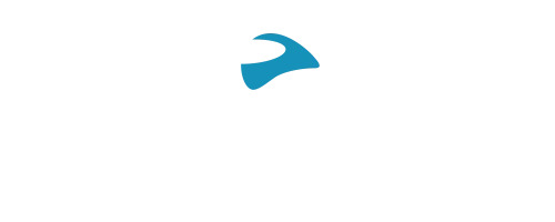 Cardo