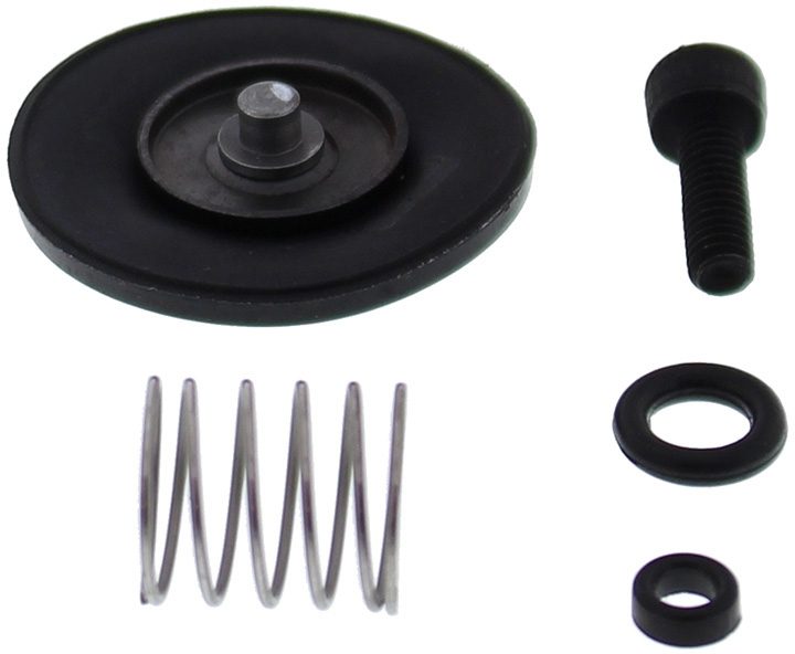 ACCELERATOR PUMP REBUILD KIT 46-3006