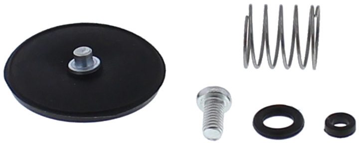 ACCELERATOR PUMP REBUILD KIT 46-3007