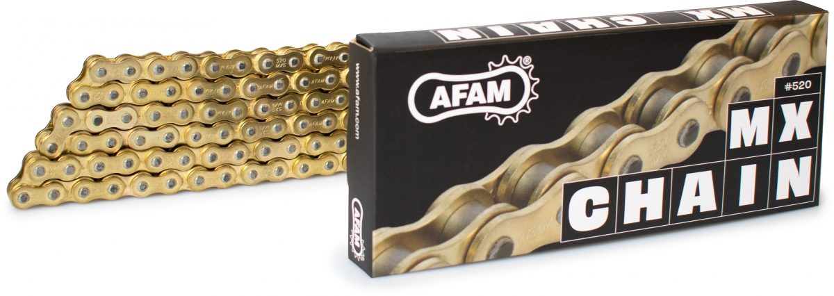 520MX6 130 ARS (CLIP) GOLD
