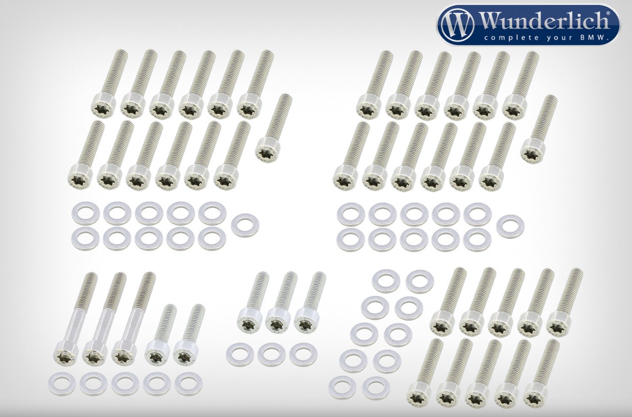 MOTORSCHROEFSET, TORX -RVS.
