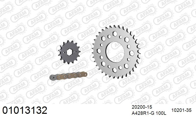 428R1 100 AR (CLIP) GOLD & SPROCKETS