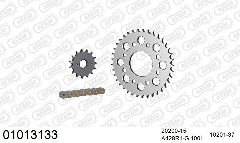 428R1 100 AR (CLIP) GOLD & SPROCKETS