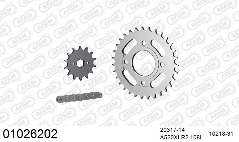 520XRR3 108 ARS (CLIP) GOLD & SPROCKETS