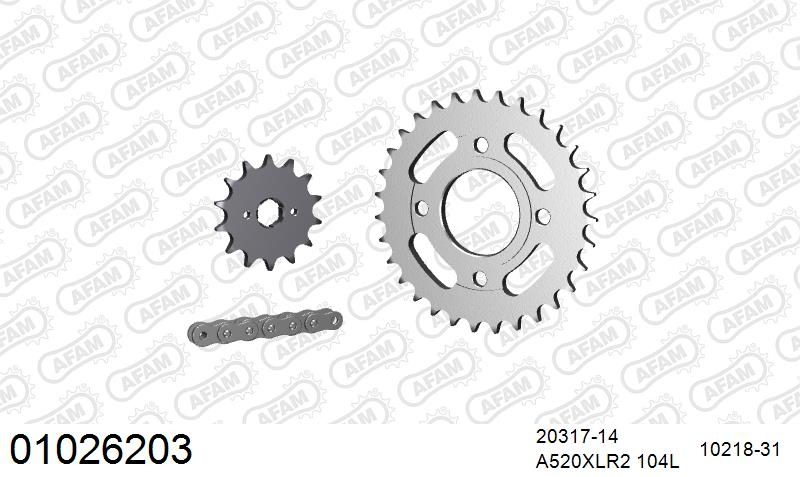 520XRR3 104 ARS (CLIP) GOLD & SPROCKETS