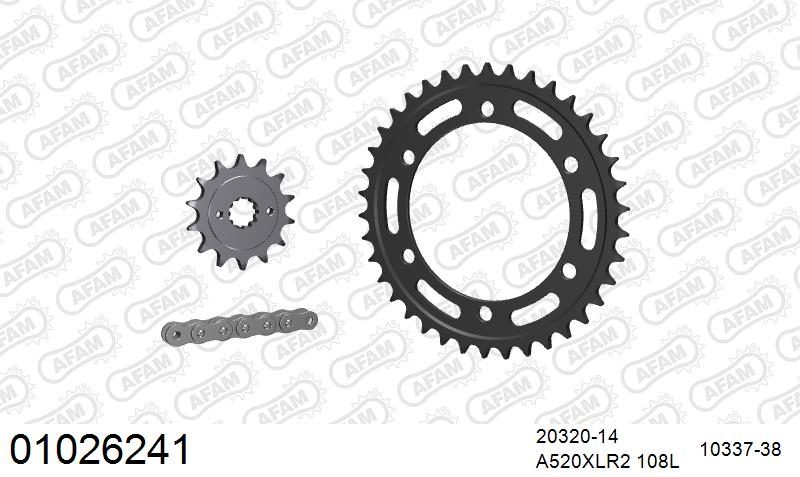 520XRR3 108 ARS (CLIP) GOLD & SPROCKETS