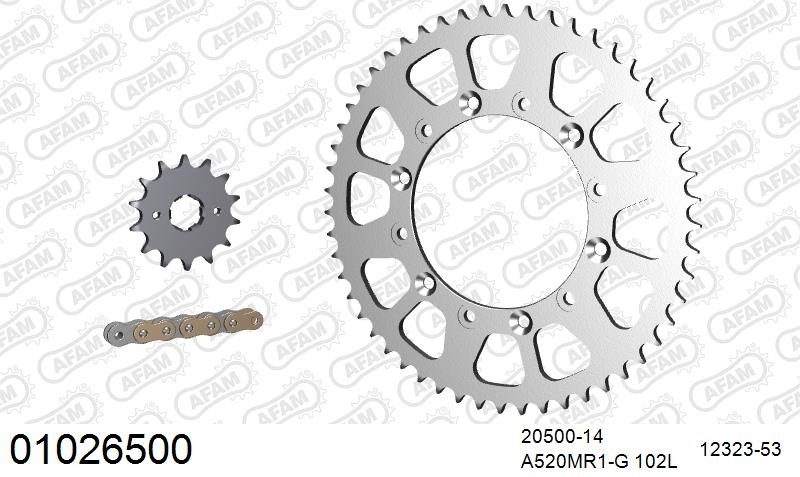 520MR2 102 ARS (CLIP) GOLD & SPROCKETS