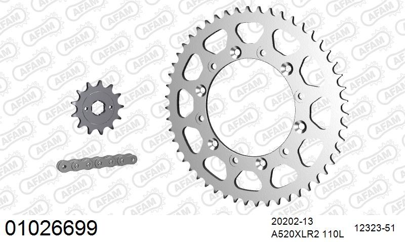 520XRR3 110 ARS (CLIP) GOLD & SPROCKETS
