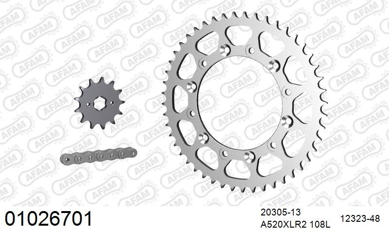 520XRR3 108 ARS (CLIP) GOLD & SPROCKETS