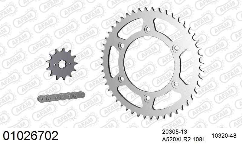 520XRR3 108 ARS (CLIP) GOLD & SPROCKETS