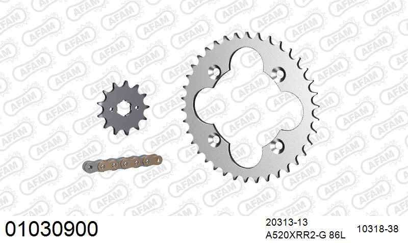 520XRR3 86 ARS (CLIP) GOLD & SPROCKETS