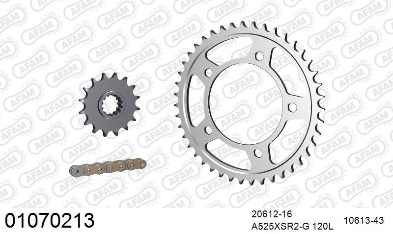 525XSR2 120 MRS (RIVET) GOLD & SPROCKETS