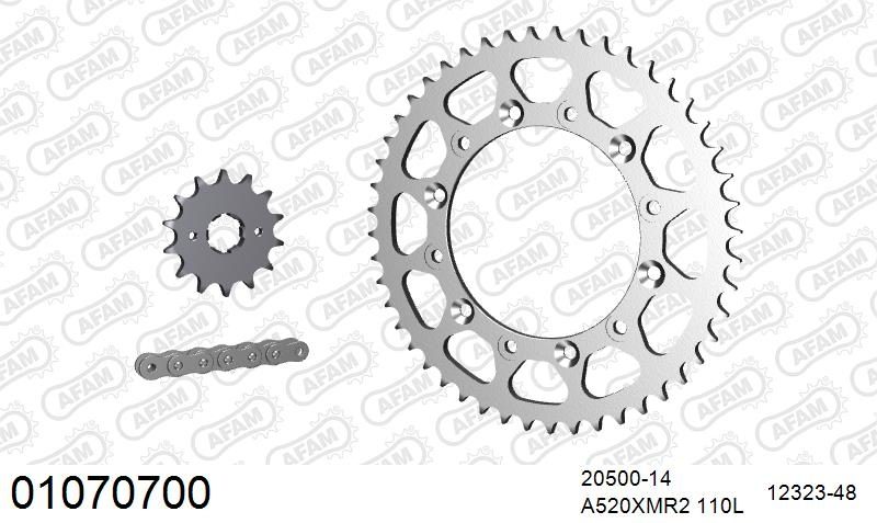 520XRR3 110 ARS (CLIP) GOLD & SPROCKETS