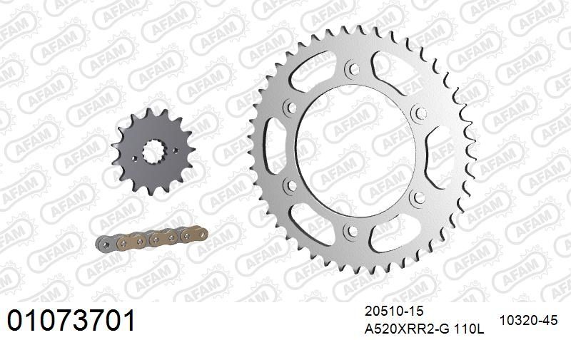 520XRR3 110 ARS (CLIP) GOLD & SPROCKETS