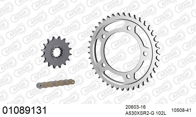 530XSR2 102 MRS (RIVET) GOLD & SPROCKETS