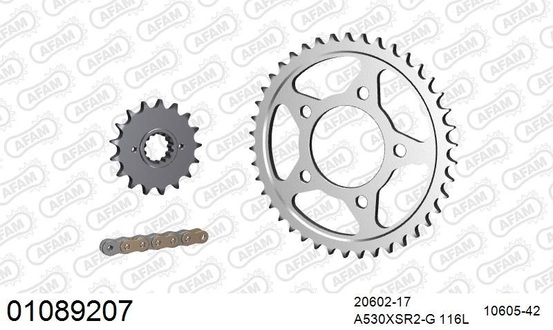 530XSR2 116 MRS (RIVET) GOLD & SPROCKETS
