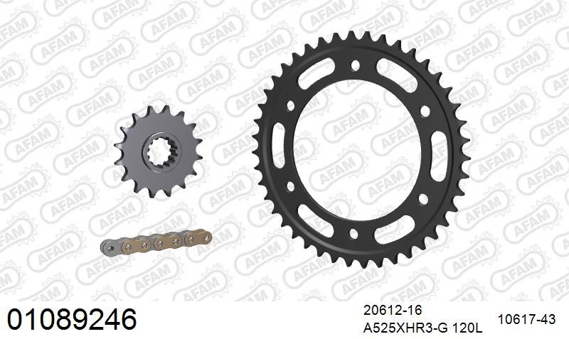 525XHR3 116 MRS (RIVET) GOLD & SPROCKETS