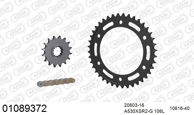 530XSR2 106 MRS (RIVET) GOLD & SPROCKETS