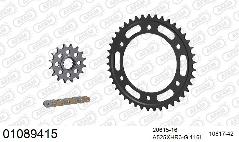 525XHR3 116 MRS (RIVET) GOLD & SPROCKETS