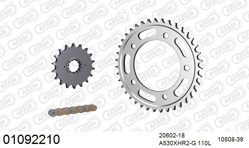 530XHR2 110 MRS (RIVET) GOLD & SPROCKETS