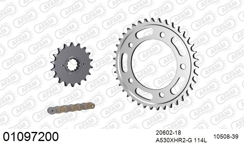 530XHR2 114 MRS (RIVET) GOLD & SPROCKETS