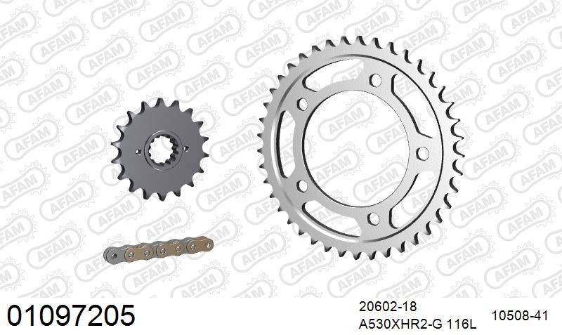 530XHR2 116 MRS (RIVET) GOLD & SPROCKETS