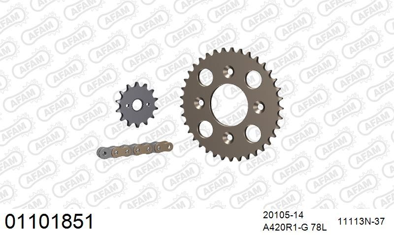420R1 78 AR (CLIP) GOLD & SPROCKETS