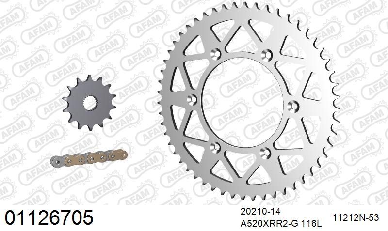 520XRR3 116 ARS (CLIP) GOLD & SPROCKETS