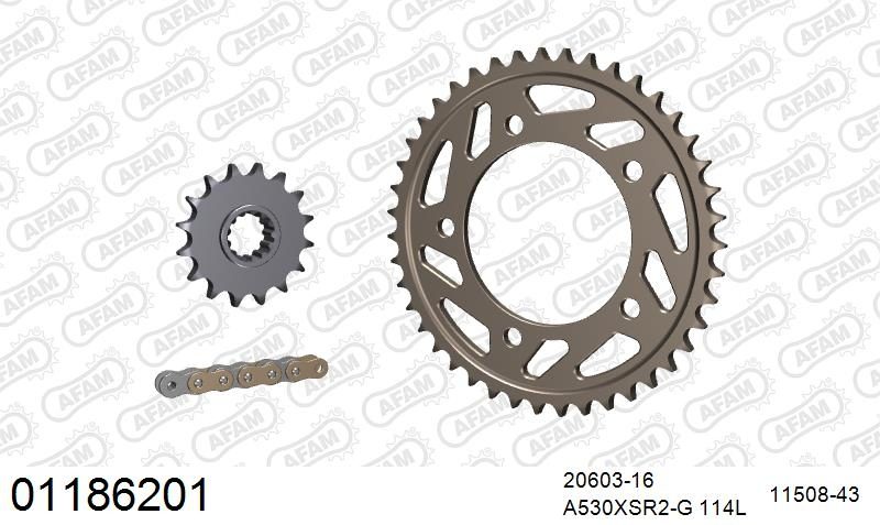 530XSR2 114 MRS (RIVET) GOLD & SPROCKETS