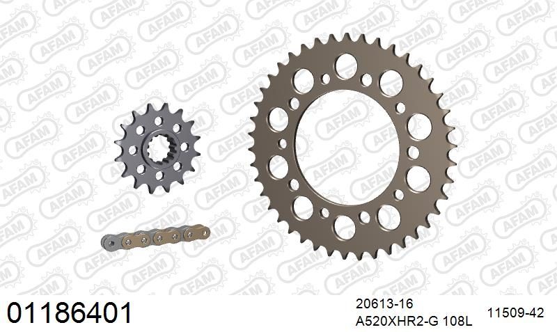 520XHR2 108 MRS (RIVET) GOLD & SPROCKETS