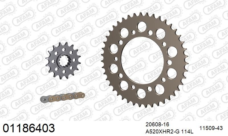 520XHR2 114 MRS (RIVET) GOLD & SPROCKETS