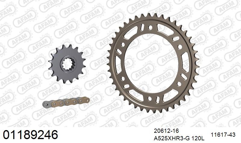 525XHR3 116 MRS (RIVET) GOLD & SPROCKETS