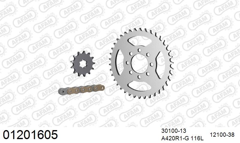 420R1 116 AR (CLIP) GOLD & SPROCKETS