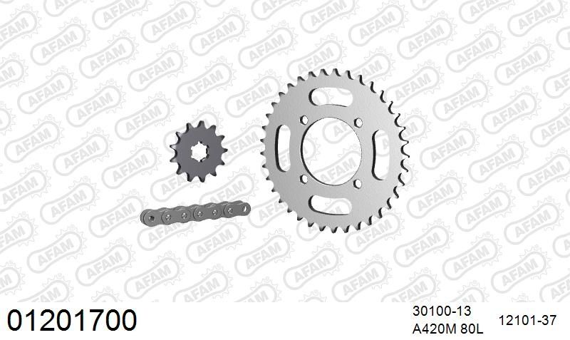 420R1 80 AR (CLIP) GOLD & SPROCKETS