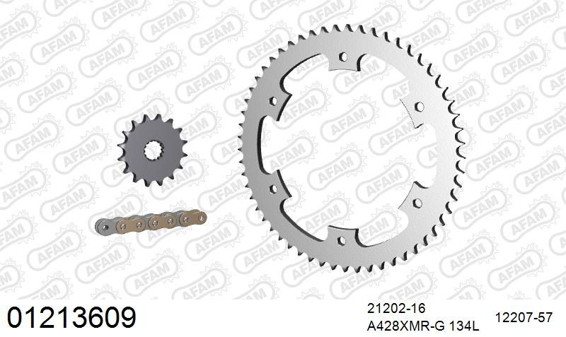 428XMR2 134 AR (CLIP) GOLD & SPROCKETS