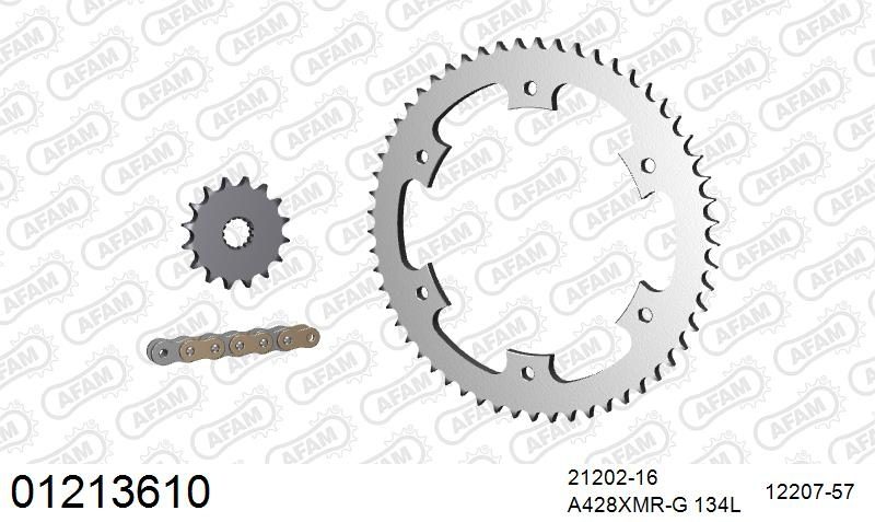 428XMR2 134 AR (CLIP) GOLD & SPROCKETS