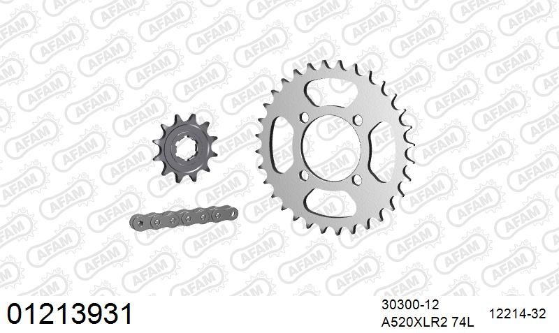 520XRR3 74 ARS (CLIP) GOLD & SPROCKETS