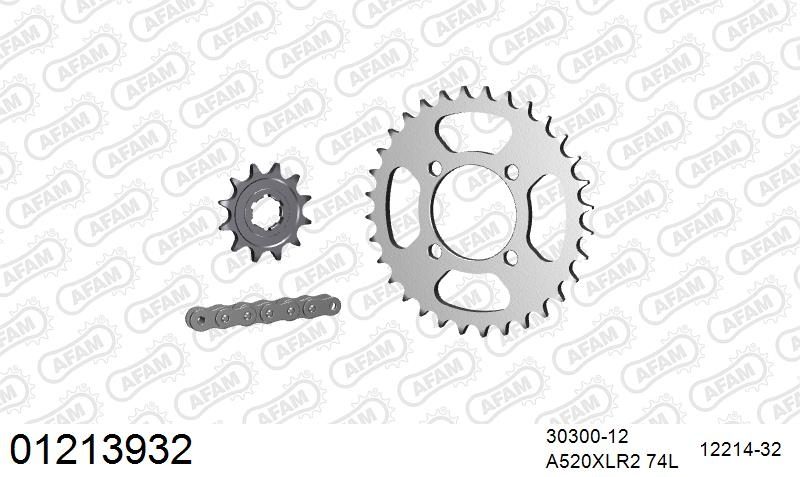 520XRR3 74 ARS (CLIP) GOLD & SPROCKETS