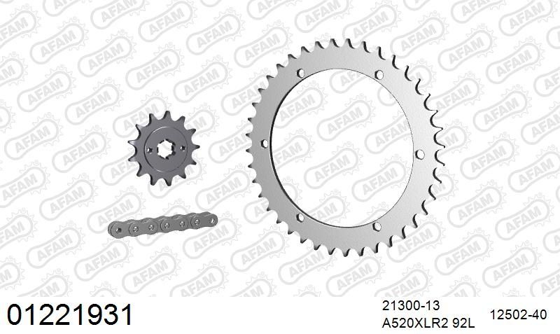 520XRR3 92 ARS (CLIP) GOLD & SPROCKETS