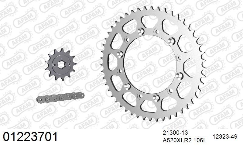 520XRR3 106 ARS (CLIP) GOLD & SPROCKETS