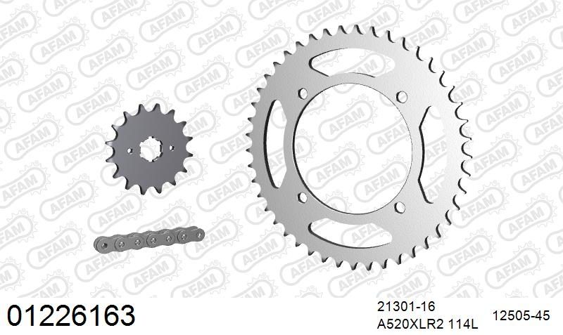 520XRR3 114 ARS (CLIP) GOLD & SPROCKETS