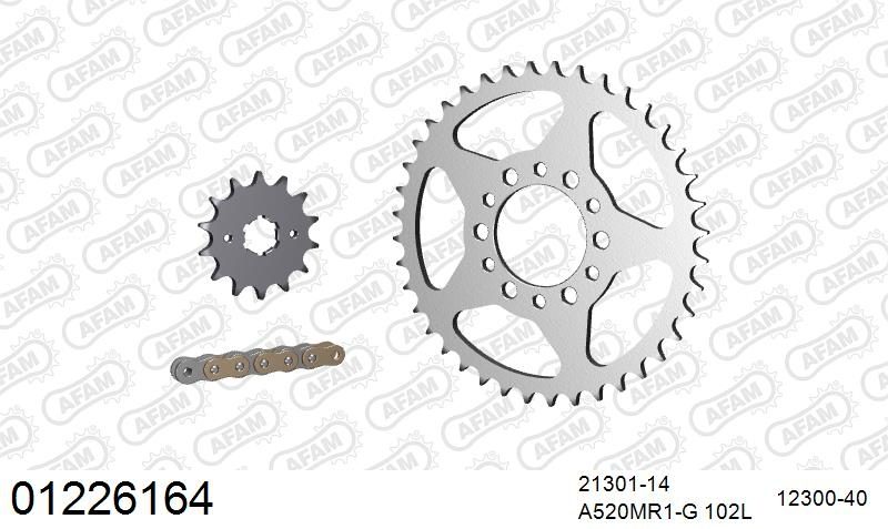 520MR2 102 ARS (CLIP) GOLD & SPROCKETS