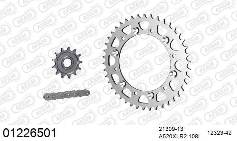 520XRR3 108 ARS (CLIP) GOLD & SPROCKETS