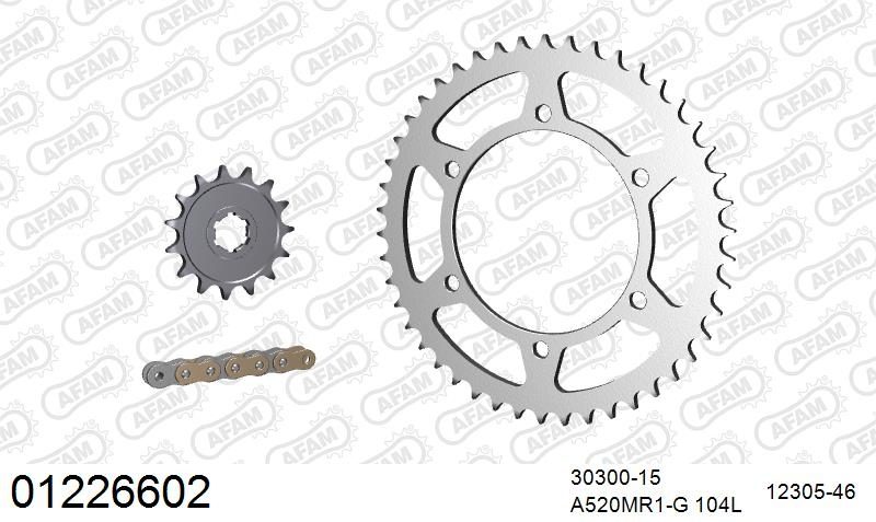 520MR2 104 ARS (CLIP) GOLD & SPROCKETS