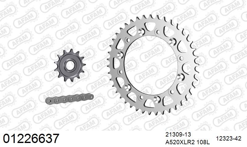 520XRR3 108 ARS (CLIP) GOLD & SPROCKETS