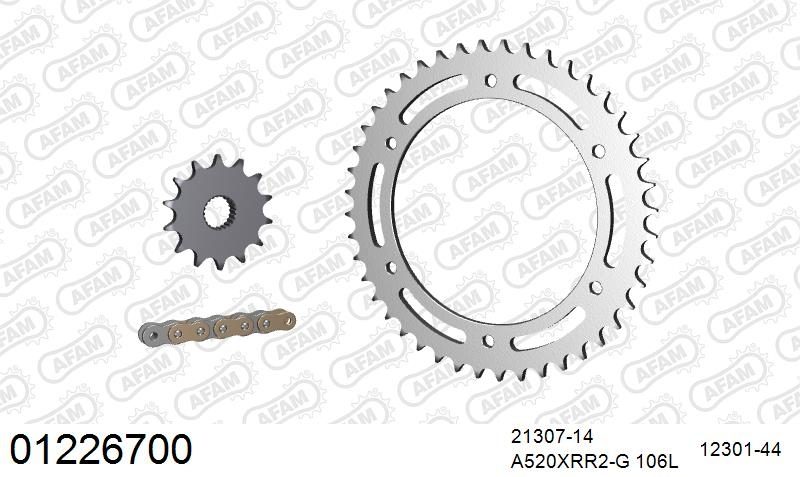 520XRR3 106 ARS (CLIP) GOLD & SPROCKETS