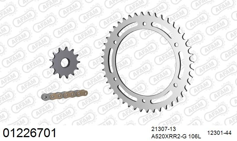 520XRR3 106 ARS (CLIP) GOLD & SPROCKETS
