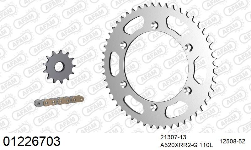 520XRR3 110 ARS (CLIP) GOLD & SPROCKETS