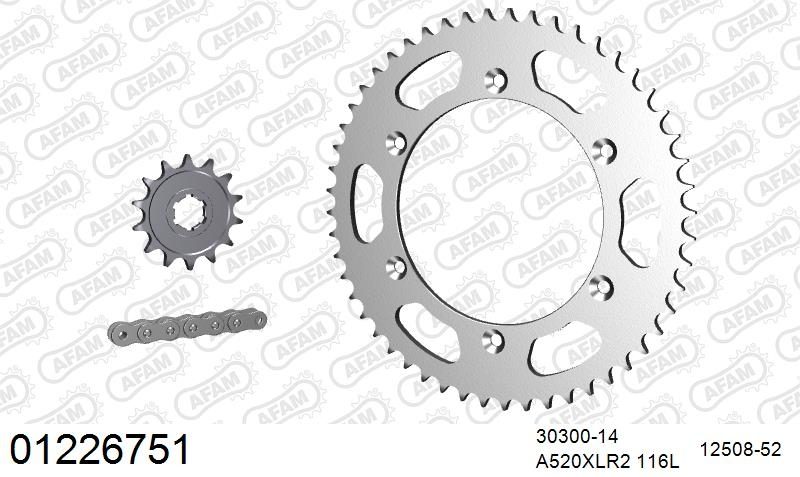 520XRR3 116 ARS (CLIP) GOLD & SPROCKETS