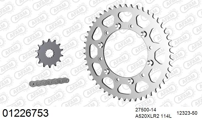 520XRR3 114 ARS (CLIP) GOLD & SPROCKETS